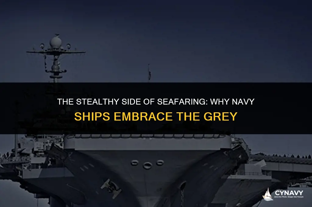 why are navy ships grey