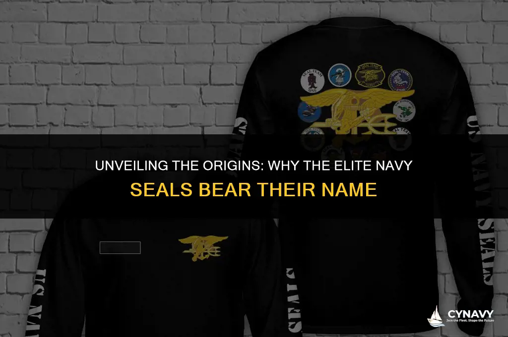 why are the navy seals called seals