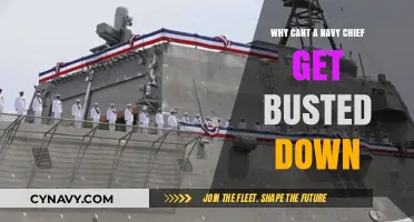 Why Navy Chiefs Rarely Face Demotion: Understanding Military Rank Protection