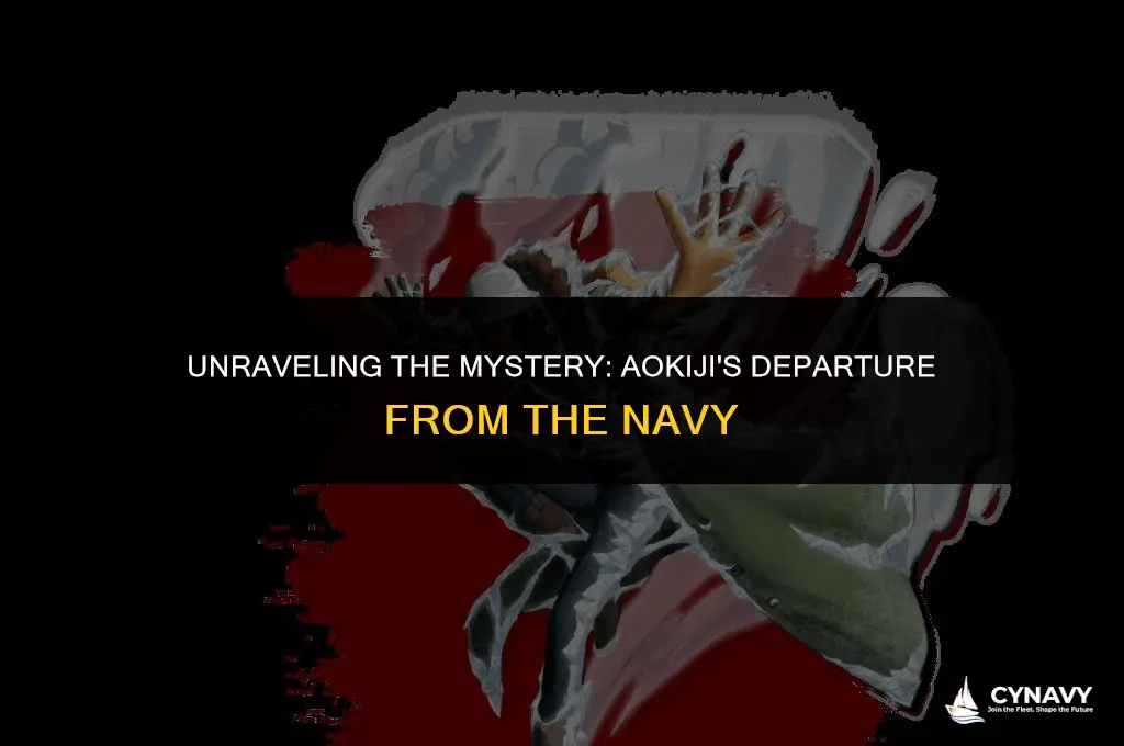 why did aokiji leave the navy