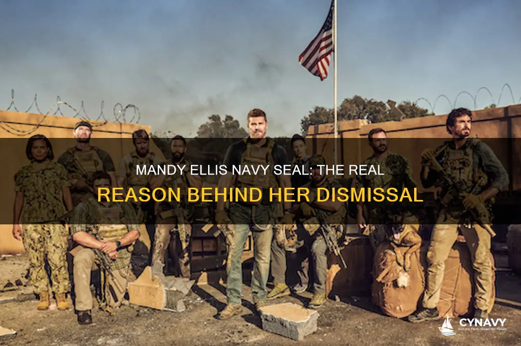 why did mandy ellis on navy seal get fired