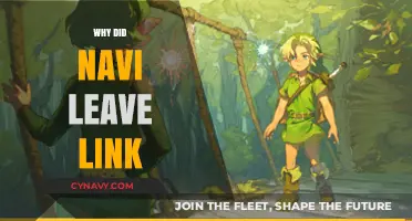 Unraveling the Mystery: Why Navi Left Link