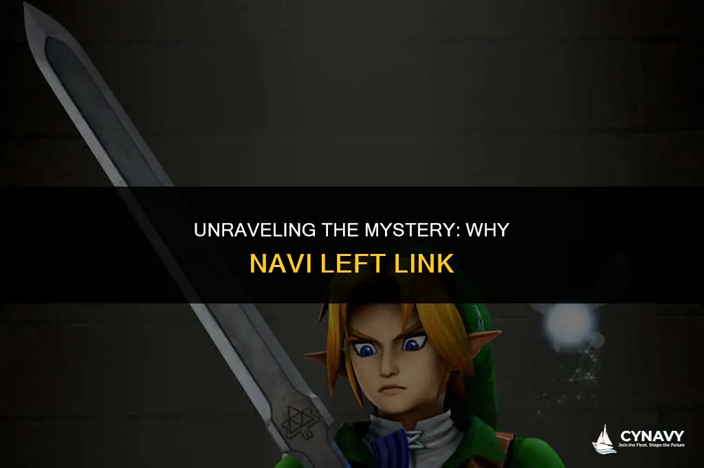 why did navi leave link