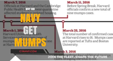 Mumps Outbreak in the Navy: Causes, Impact, and Prevention Strategies