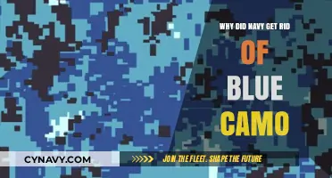 Why the Navy Ditched Blue Camo: Unraveling the Uniform Change