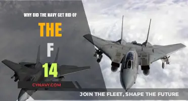 Why the Navy Retired the Iconic F-14 Tomcat