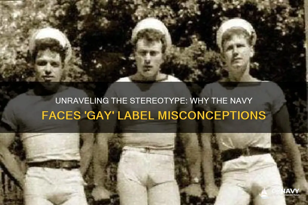 why do navy get called gay