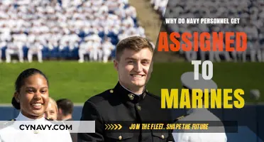 Navy to Marines: Understanding Personnel Assignments and Roles