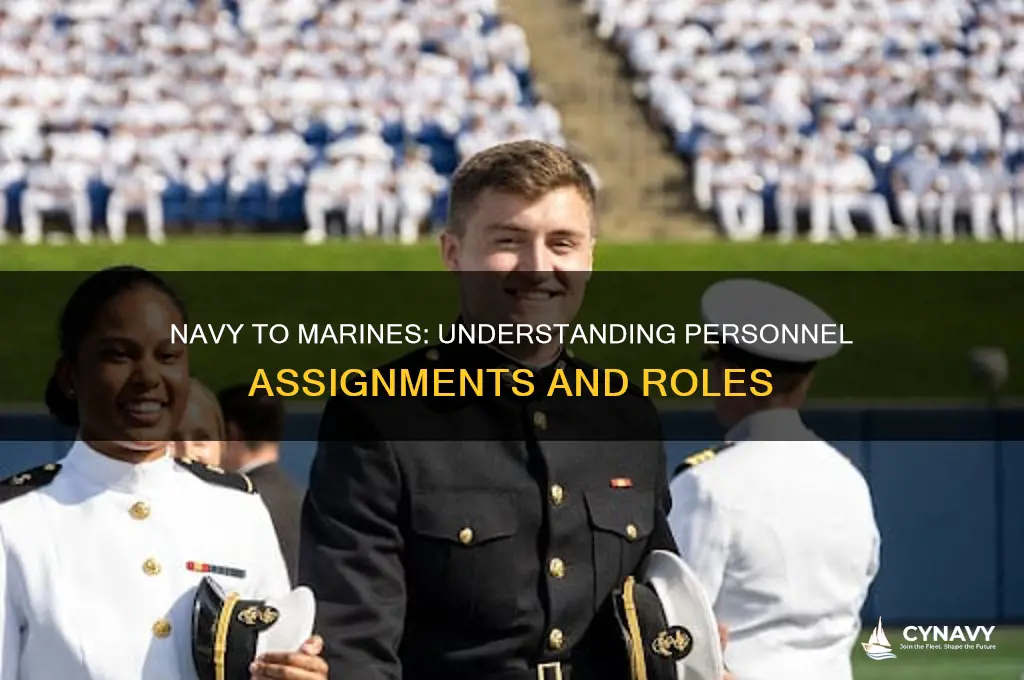 why do navy personnel get assigned to marines