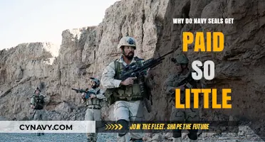 Unveiling the Truth: Navy SEALs' Modest Pay Explained