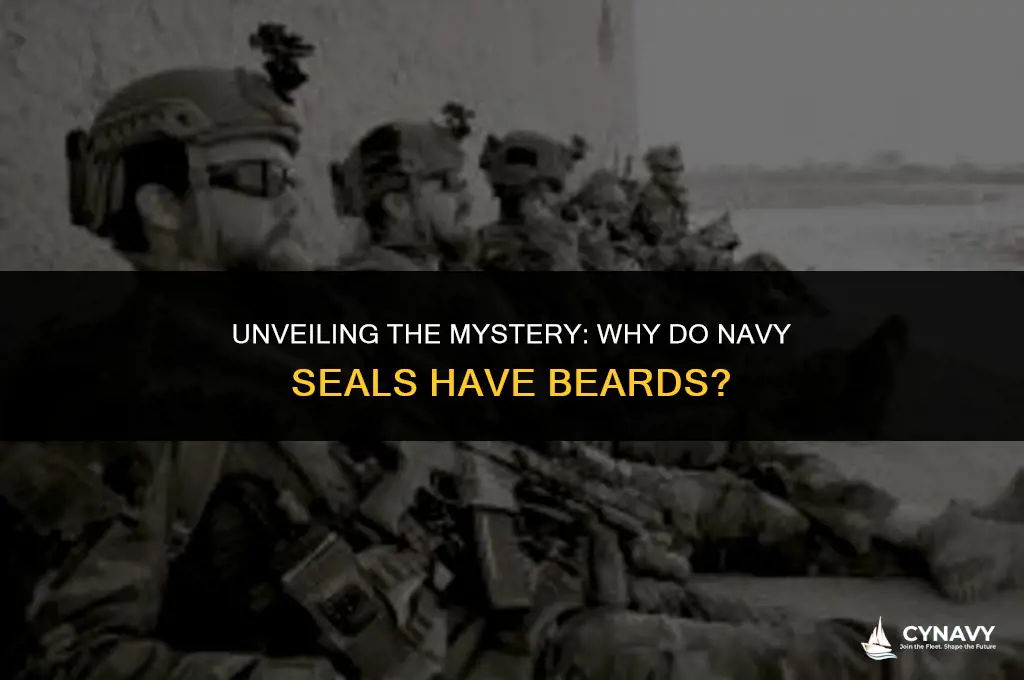 why do navy seals have beards