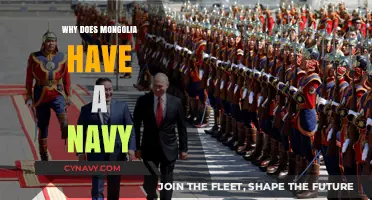 Why Mongolia Maintains a Navy: Geopolitical and Economic Insights