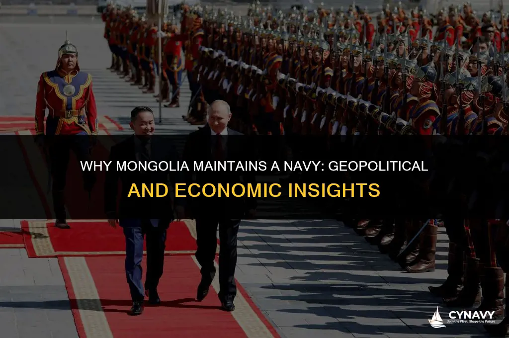 why does mongolia have a navy