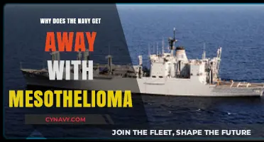 Navy's Mesothelioma Immunity: Uncovering the Legal and Ethical Loopholes