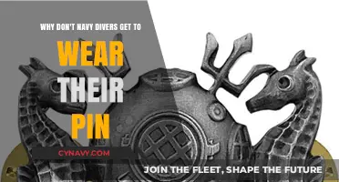 Unveiling the Mystery: Why Navy Divers Can't Wear Their Pin