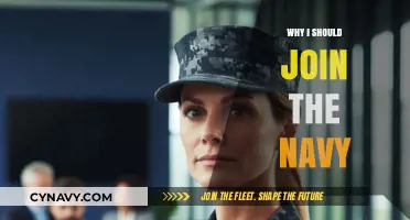 Anchoring Your Future: Why the Navy Could Be Your Best Career Move