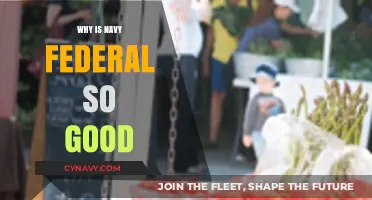 Why Navy Federal Stands Out: A Comprehensive Review