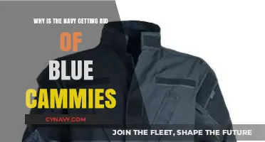 Navy Phases Out Blue Cammies: Reasons Behind the Uniform Change