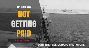 Navy Pay Crisis: Unraveling the Reasons Behind Delayed Compensation