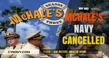 Unraveling the Mystery: Why McHale's Navy Disappeared from TV