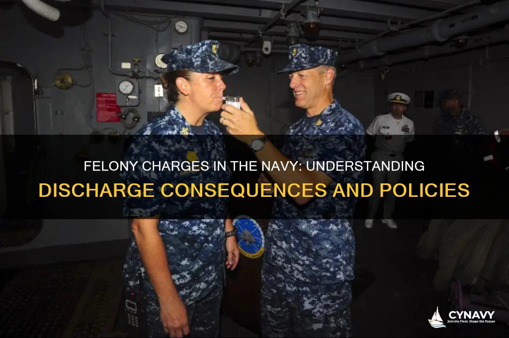 will a felony get you discharged from the navy