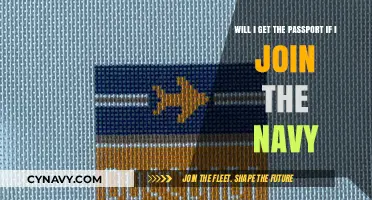 Joining the Navy: Does It Guarantee a Passport for You?