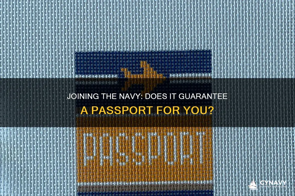 will i get the passport if i join the navy