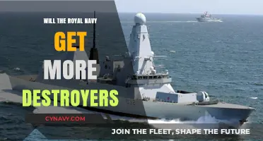 Royal Navy's Future: More Destroyers on the Horizon?