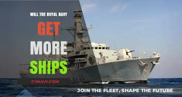 Royal Navy Expansion: More Ships on the Horizon?