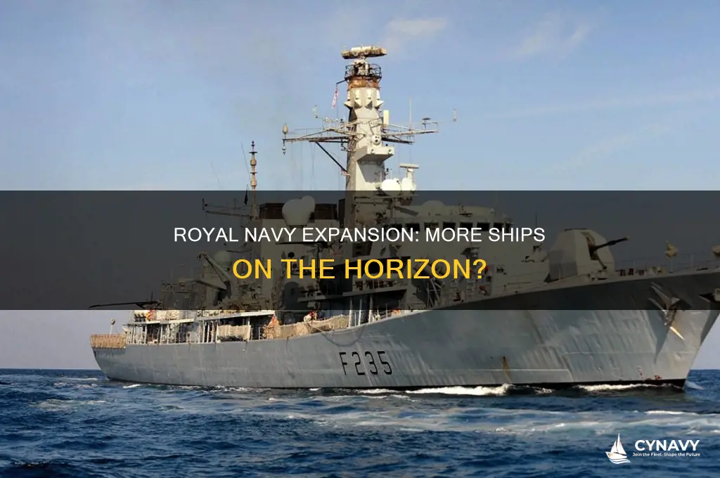 will the royal navy get more ships